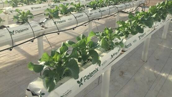 Imagen Charla-2 mejor|jacintaImagen1 (2)